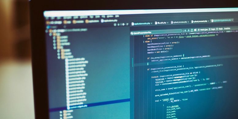 Software Integration